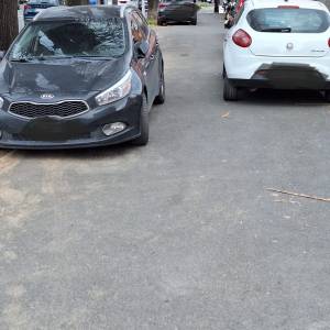 WhatsApp Image 2026-03-23 at 12.31.20 (2)