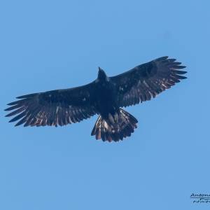 12fdae13-ff35-4ca0-a0ca-0f025110c38b