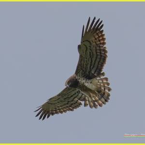 ad07880f-ad43-4537-8813-49c4e611f132