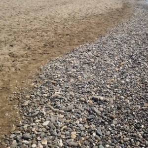 BASSA__1 Bagno fausto e la cicala, partaccia 10.04.26