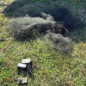 Reti da uccellagione e richiami