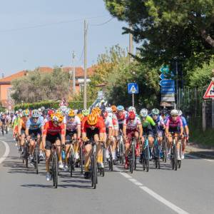 Repertorio Giro della Lunigiana (1)