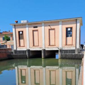 Brugiano (2)
